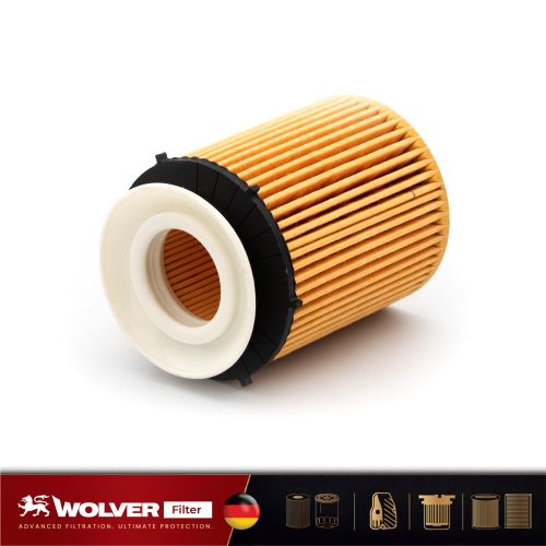 Lọc Nhớt Động Cơ: Wolver WO31007G